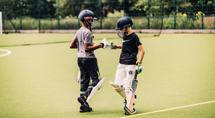 Cricket pic 2 2020